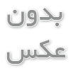 همه چیز در مورد خرید گربه پرشین